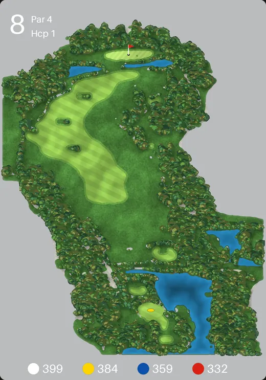 Pixel Golf · Loch 8